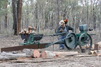 The woodcutter