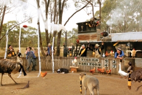 “Go Tiger’s!” - sTEBLC04