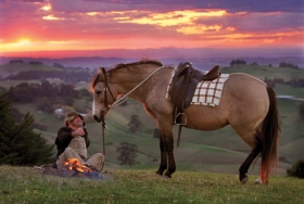 “The Drover” - sTEBLC11