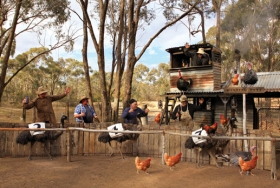 “Bush Races” - sTEBLC12