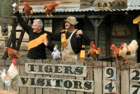 “The Supporters” - sTEBLC22