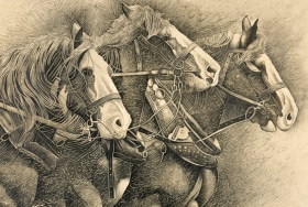 “Working horses” Pencil - sTEBLC50