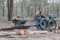 The Woodcutter TEB02