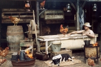 The weekly scrub TEB06