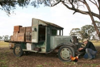 The days delivery TEB10