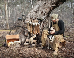 Give the ferrets a run TEBA306