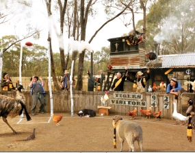 Go Tigers TEBA301
