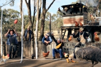 Coaching on the boundary